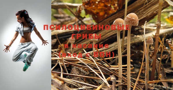 спиды Алзамай