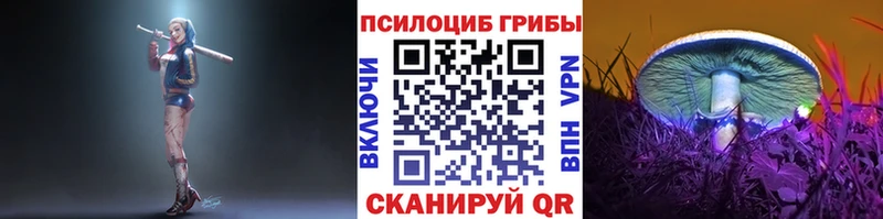 mega рабочий сайт  Катайск  Псилоцибиновые грибы Psilocybine cubensis 